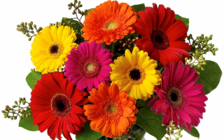 kartinki24_ru_bouguets_of_flowers_100.jpg