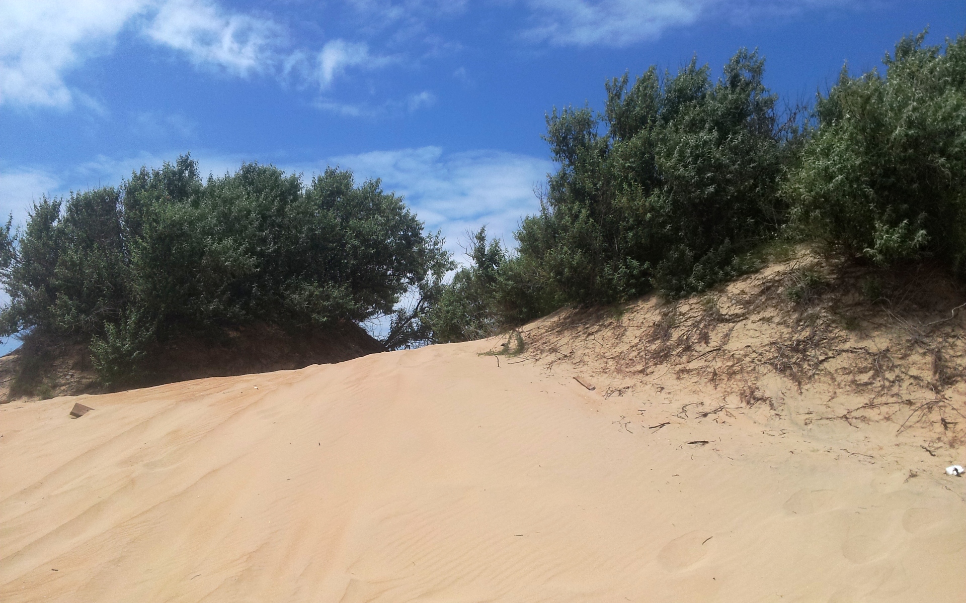 Золотые барханы анапа. Песчаные дюны Джемете Анапа. Барханы в Анапе. Песчаные Барханы Анапа Витязево. Витязево дюны песчаные.