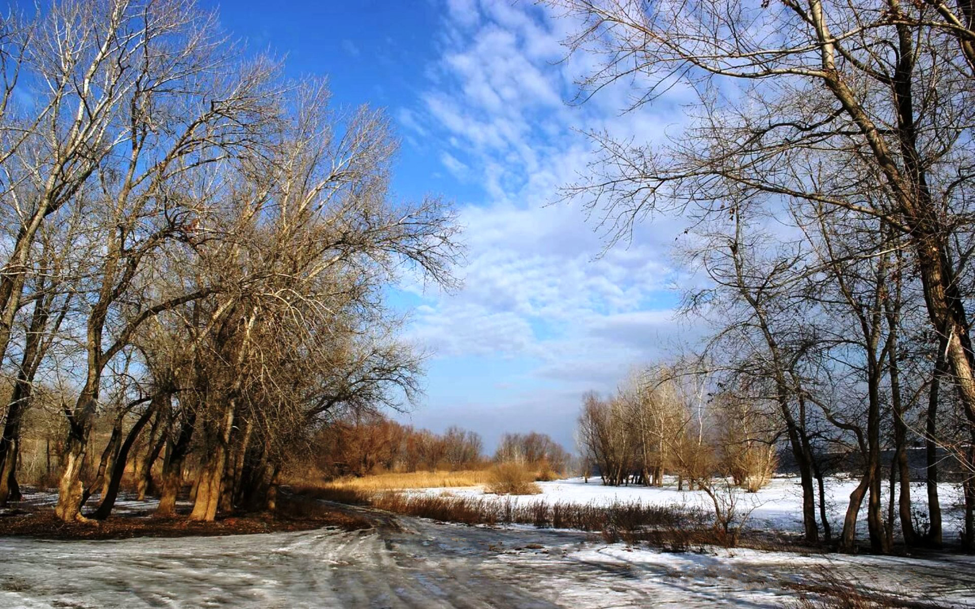 Февраль г март г. Ранняя Весна. Природа ранней весной. Март природа. Ранняя Весна март.